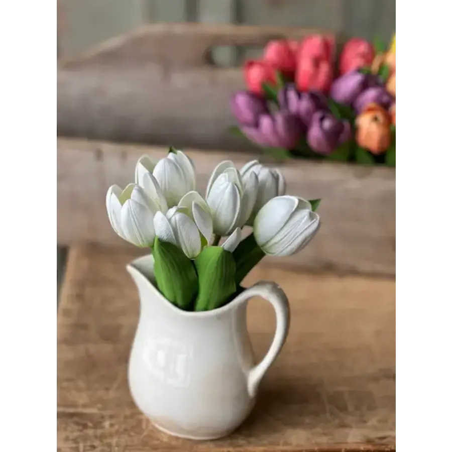 Poppet Tulip Bundle 8.5"Cream
