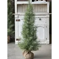 Whitley Pine Tree 3'