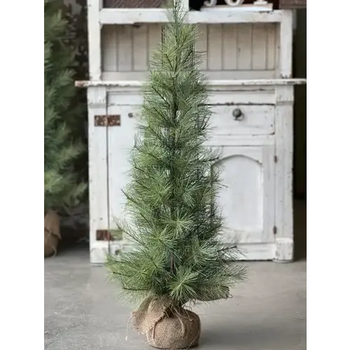  Whitley Pine Tree 3' 