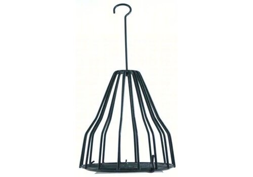  Birdie Bell 