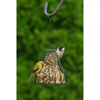 Birdie Bell