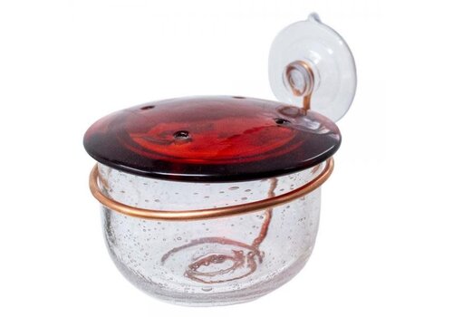  Glass HB Window Feeder w/ Copper 