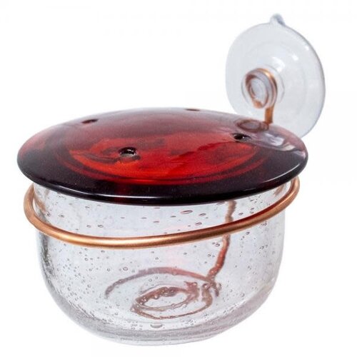  Glass HB Window Feeder w/ Copper 