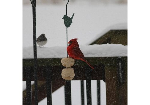  Songbird Feeder Stick 