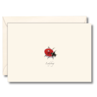 Ladybug Boxed Notecards