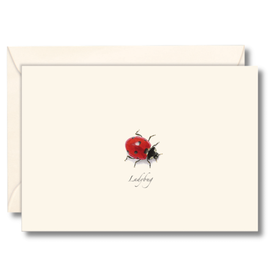 Ladybug Boxed Notecards