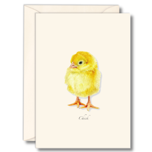  Earth sky water Chick Boxed Notecards 