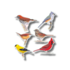 Earth sky water Favorite Songbirds Nature Stickers
