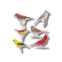 Favorite Songbirds Nature Stickers