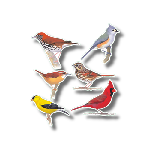  Earth sky water Favorite Songbirds Nature Stickers 