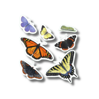 Butterflies Nature Stickers
