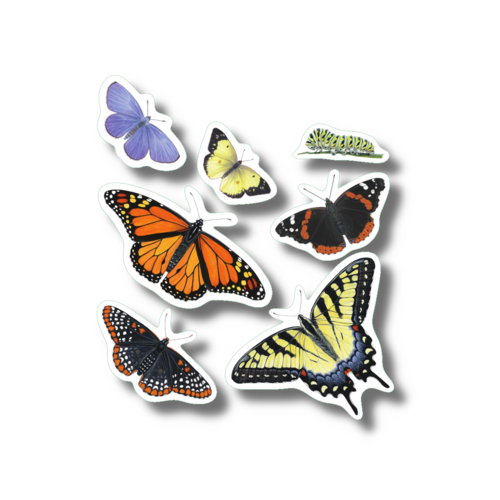  Earth sky water Butterflies Nature Stickers 