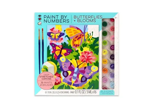  Bright Stripes Paint By Numbers Butterflies + Blooms 