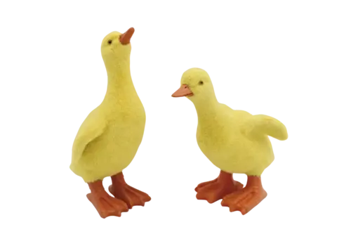  Flock Resin Yellow Duck 