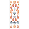 Peter Pauper Press Seashells Sticker Set