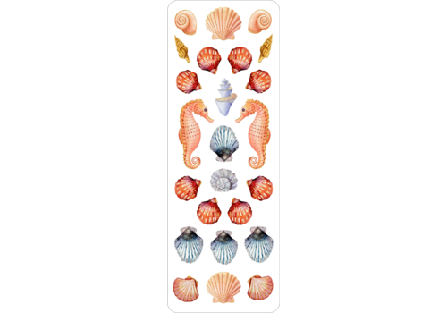 Peter Pauper Press Seashells Sticker Set   Peter Pauper Press Seashells Sticker Set