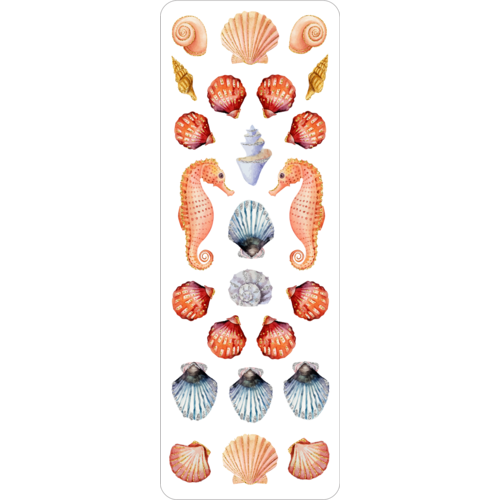 Peter Pauper Press Seashells Sticker Set   Peter Pauper Press Seashells Sticker Set