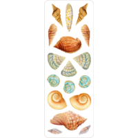Seashells Sticker Set