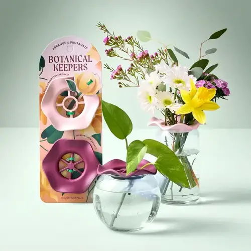  Modern Sprout Botanical Keepers - set of 2 