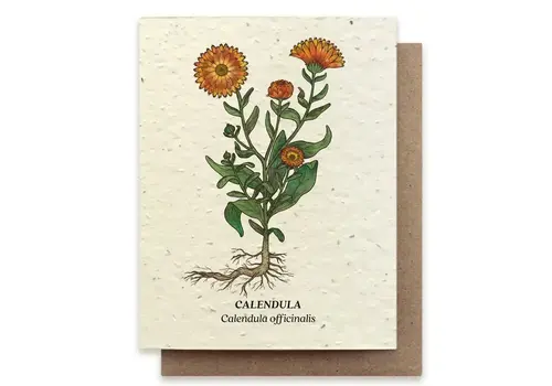  Small Victories Plantable Wildflower Seed Card - Calendula 