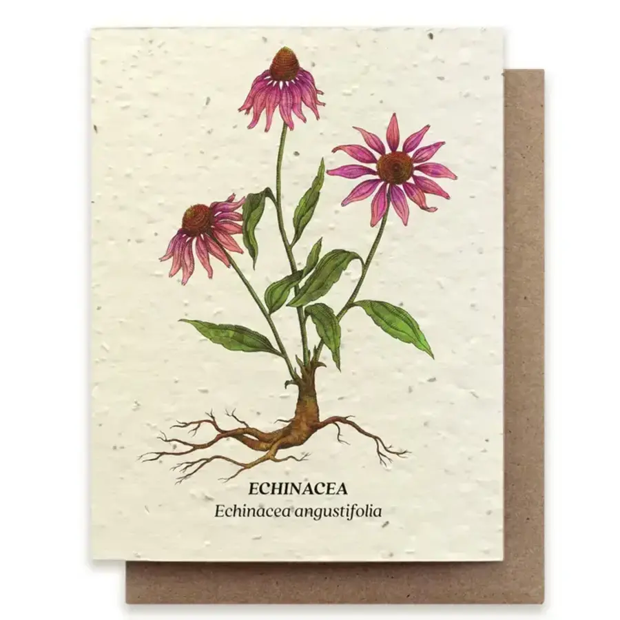 Plantable Wildflower Seed Card - Echinacea