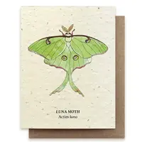 Plantable Wildflower Seed Card - Luna Moth