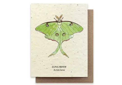  Small Victories Plantable Wildflower Seed Card - Luna Moth 