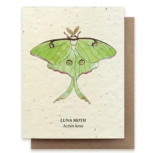  Small Victories Plantable Wildflower Seed Card - Luna Moth 