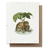 Small Victories Plantable Herbs Card - Two Toads