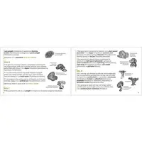 Mushroom Finder