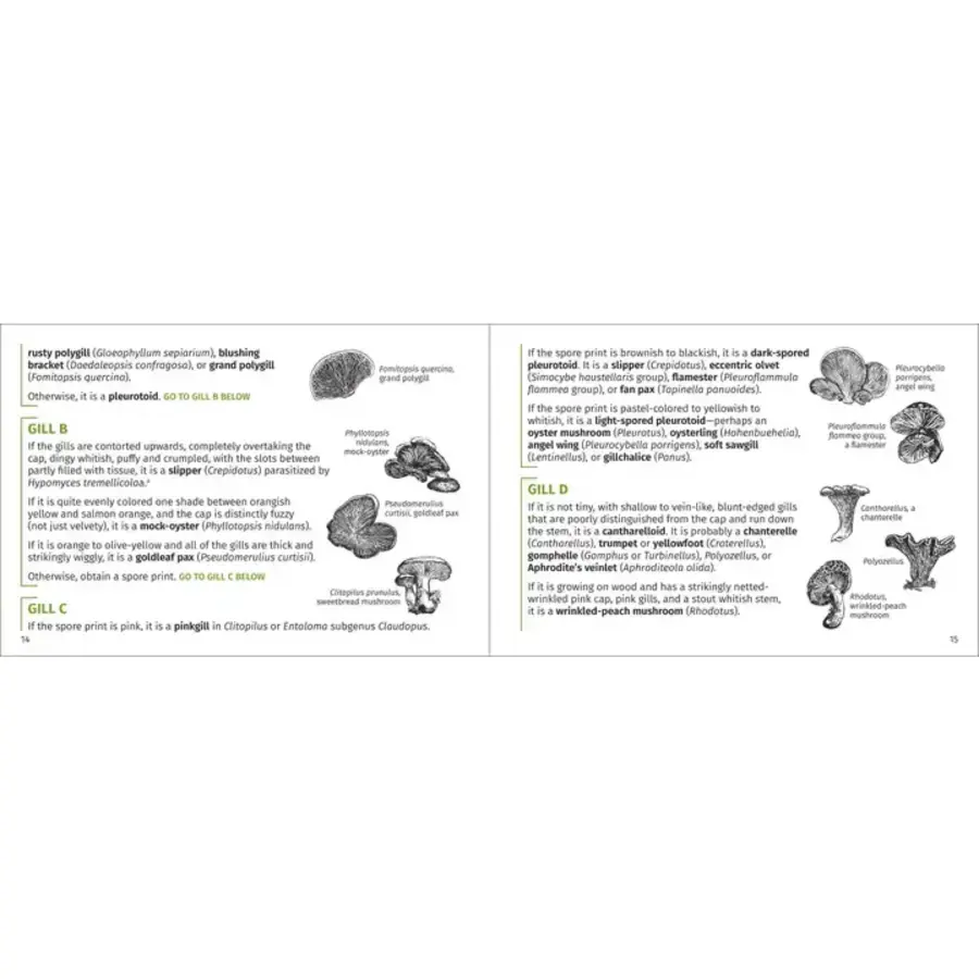 Mushroom Finder