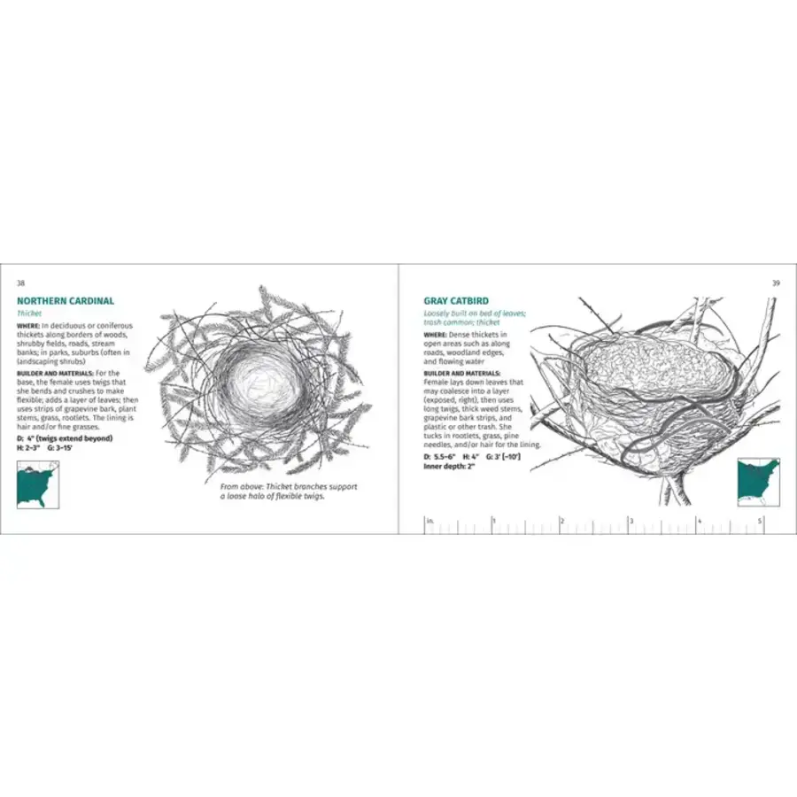 Bird Nest Finder