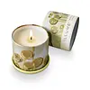 Illume Borealis Moss Demi Vanity Tin Candle