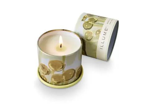  Illume Borealis Moss Demi Vanity Tin Candle 