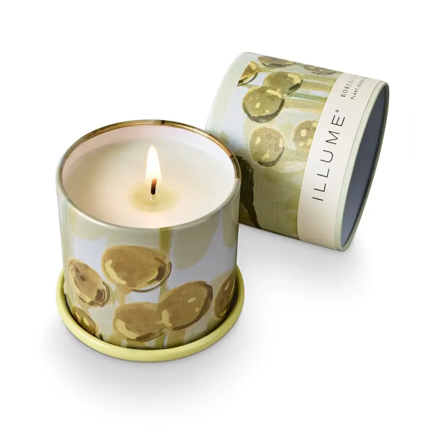 Borealis Moss Demi Vanity Tin Candle