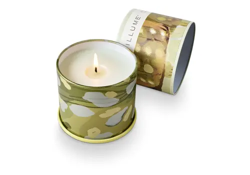  Illume Borealis Moss Vanity Tin 