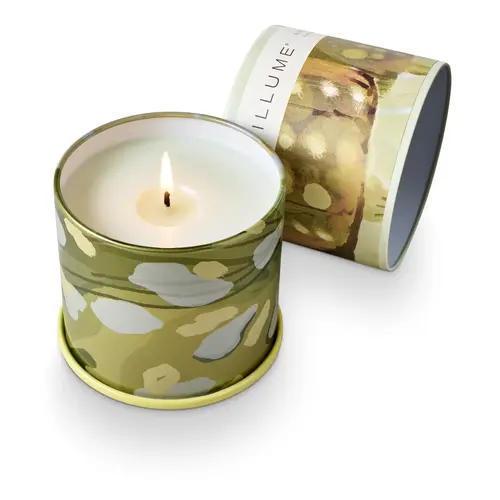  Illume Borealis Moss Vanity Tin 
