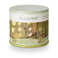 Borealis Moss Vanity Tin