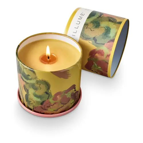  Illume Rhubarb Honey Vanity Tin 
