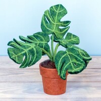 Felted Potted Plant Monstera