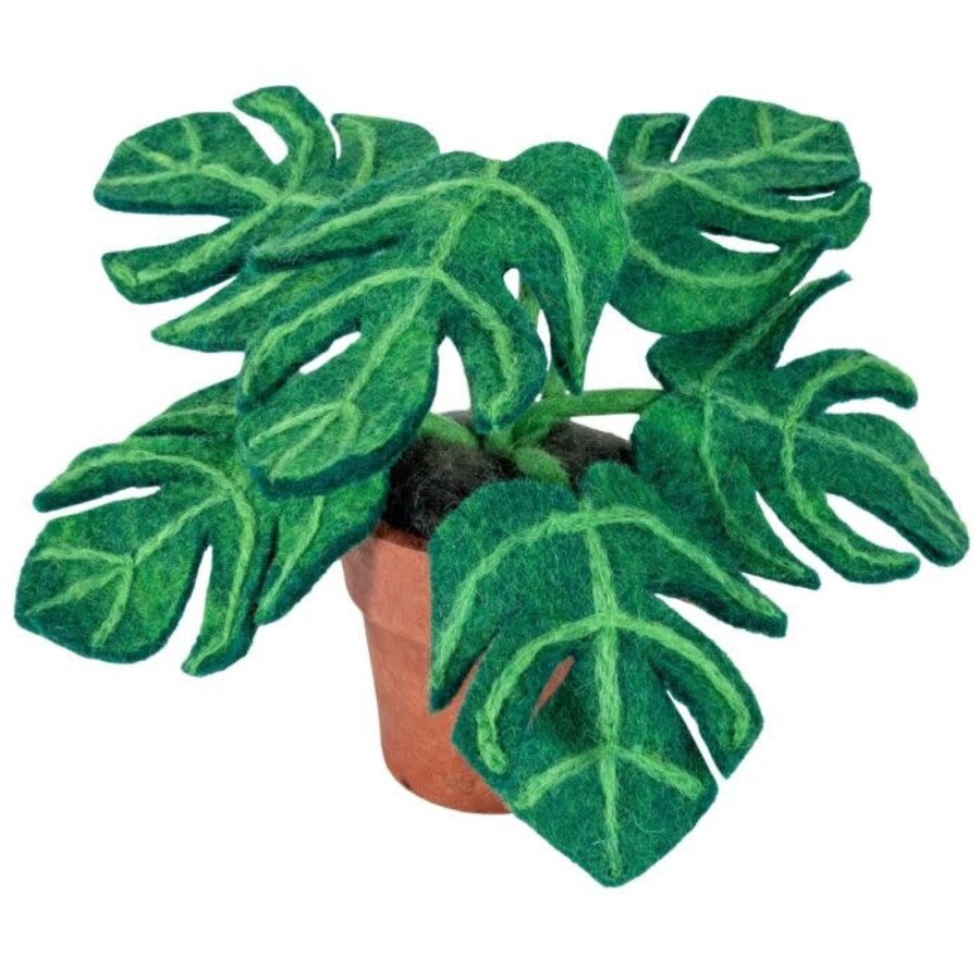 Felted Potted Plant Monstera