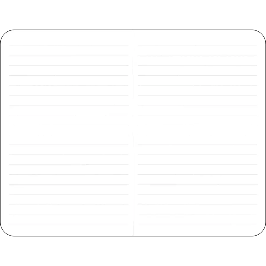 Daffodils Jotter Notebooks set of 3