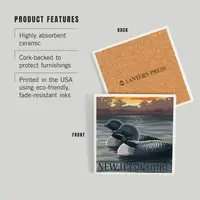 NH Common Loon Coaster
