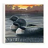 Lantern Press NH Common Loon Coaster