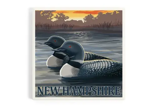 Lantern Press NH Common Loon Coaster 