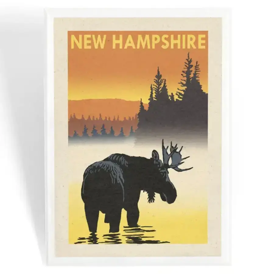 NH Moose at Dawn Magnet