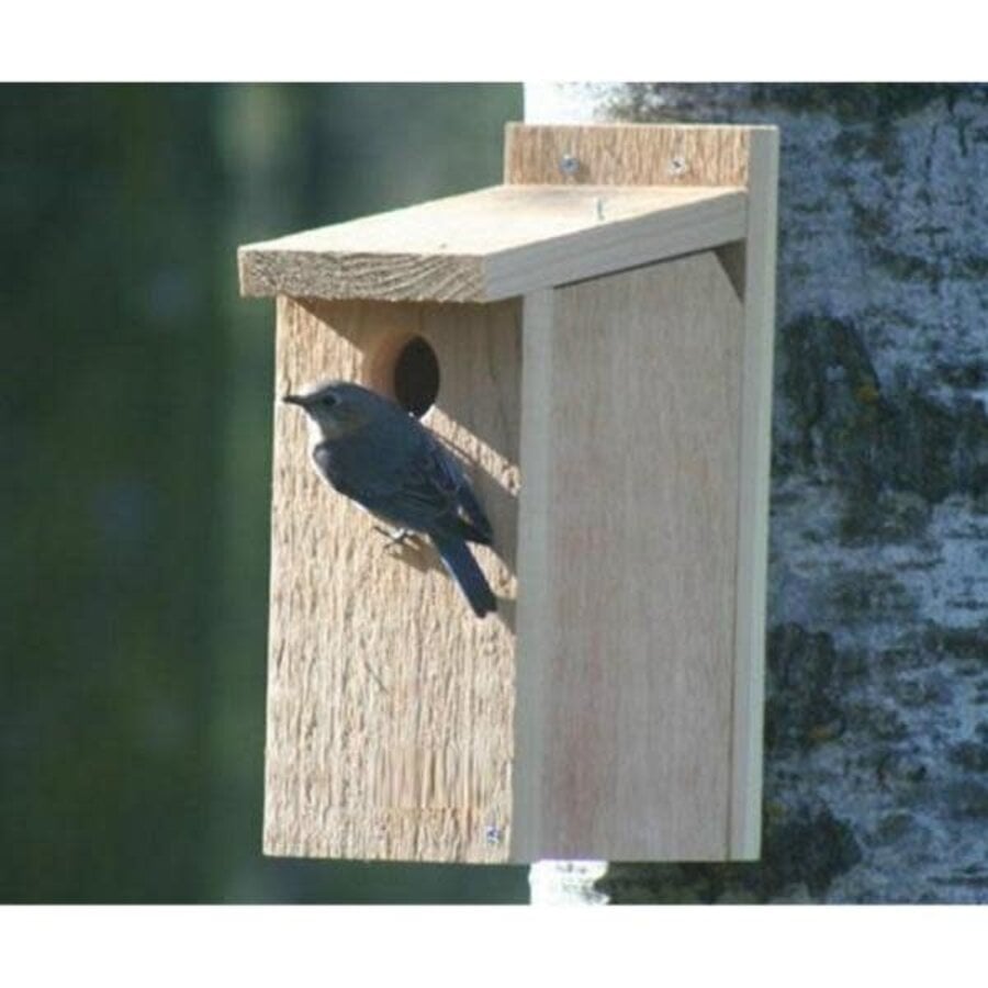 View Thru Bluebird House