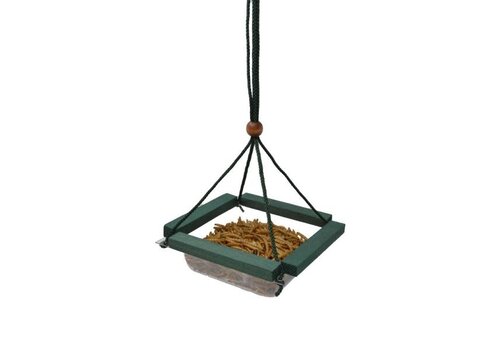  Hanging Mealworm Dish Feeder 