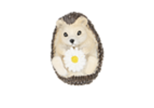  Hedgehog & Flower Charm 