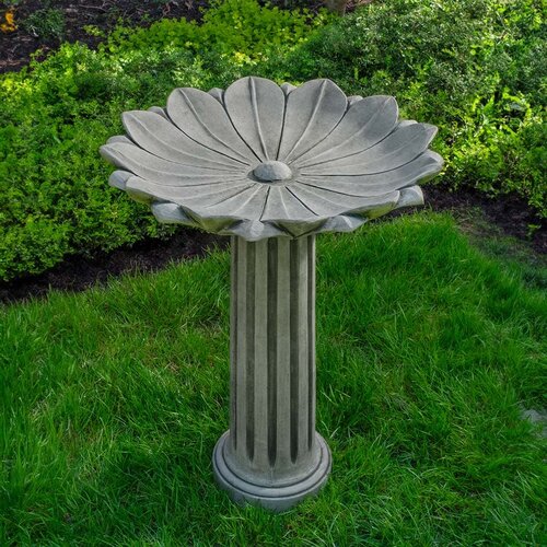  Campania International Marguerite Birdbath 